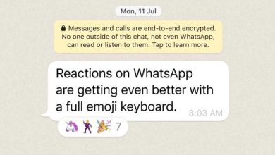 Фото - WhatsApp позволит использовать любые эмодзи в качестве реакций на сообщения