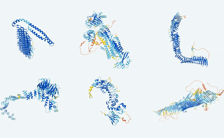 Фото - Искусственный интеллект предсказал структуры почти всех известных науке белков — это начало новой эры в цифровой биологии