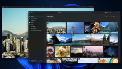 Фото - Microsoft тестирует обновлённое приложение «Фотографии» в Windows 11 — его сделали более удобным