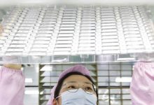 Фото - В Минпромторге заявили об отсутствии информации о росте негодных микросхем из КНР